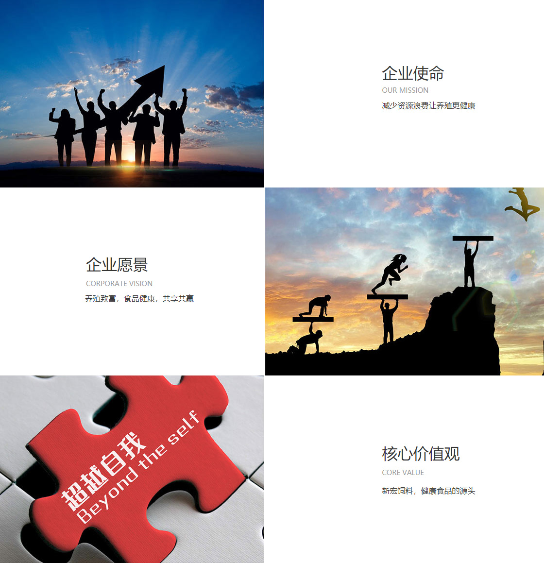 彩神彩票vlll登录入口(图1)